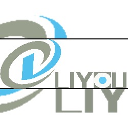 LIYOU logo